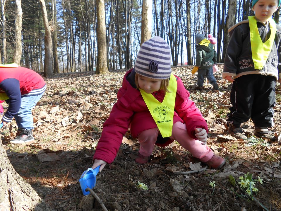 Modra igralnica, marec 2014 - foto povečava