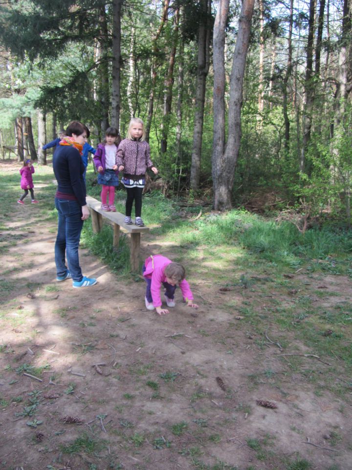 Rumena igralnica, marec 2014 - foto povečava