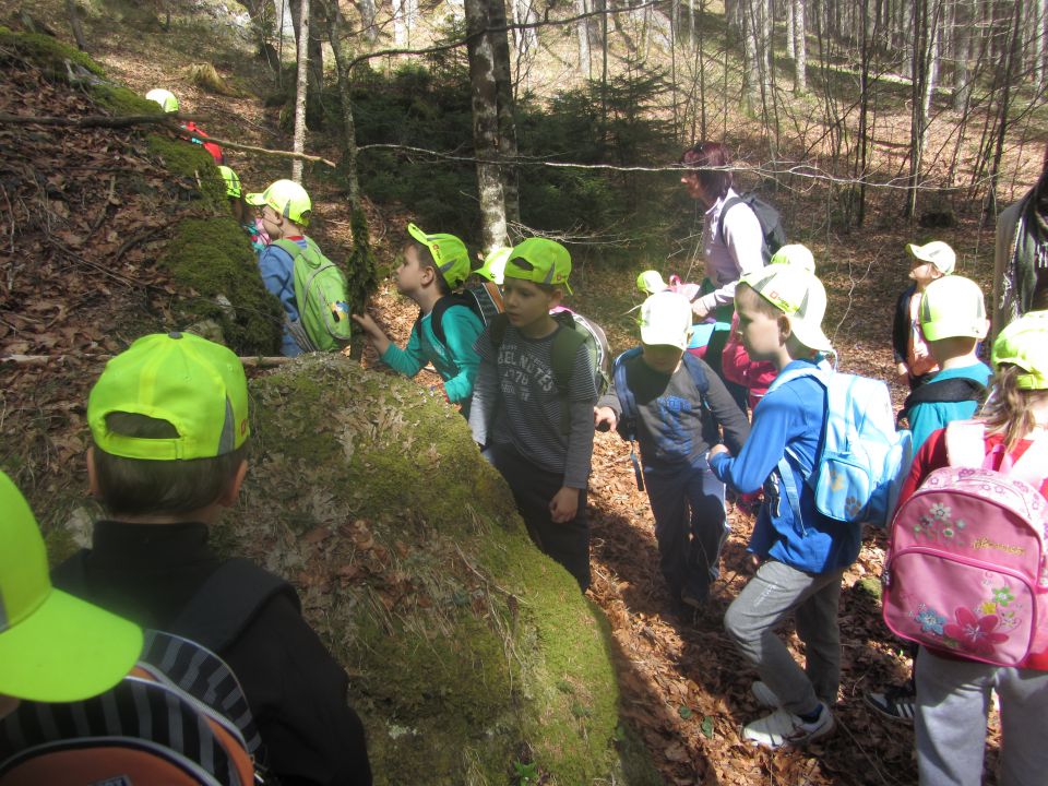 Logarska dolina 2, april 2014 - foto povečava