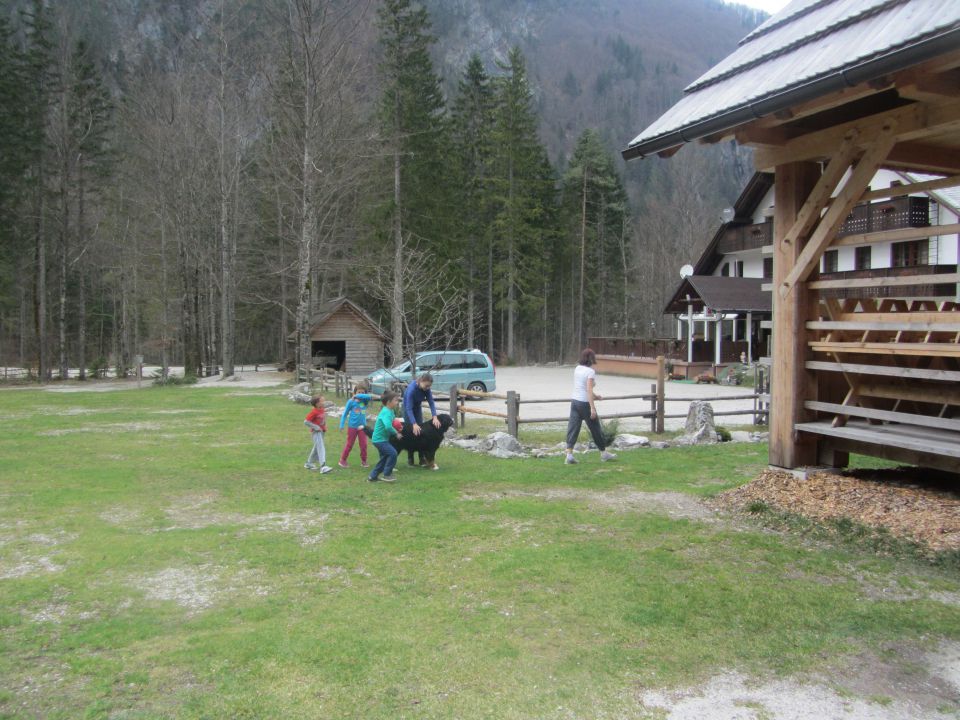 Logarska dolina 2, april 2014 - foto povečava