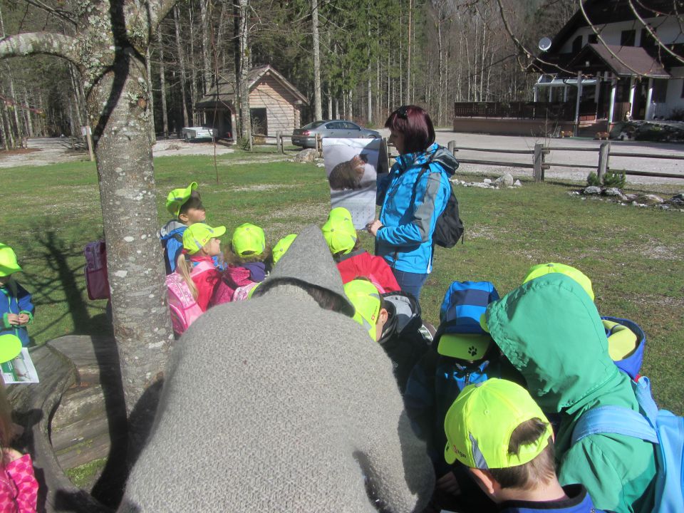 Logarska dolina 2, april 2014 - foto povečava