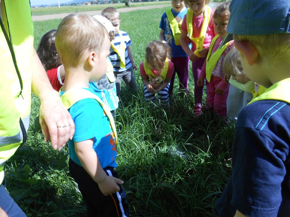 Modra igralnica, maj 2014 - foto povečava