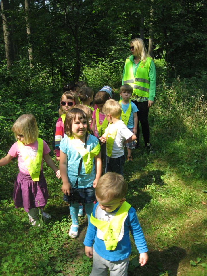 Zelena igralnica, junij 2014 - foto povečava