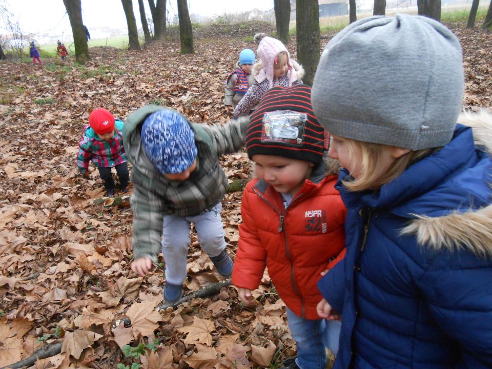 Vijolična igralnica, november 2014 - foto povečava