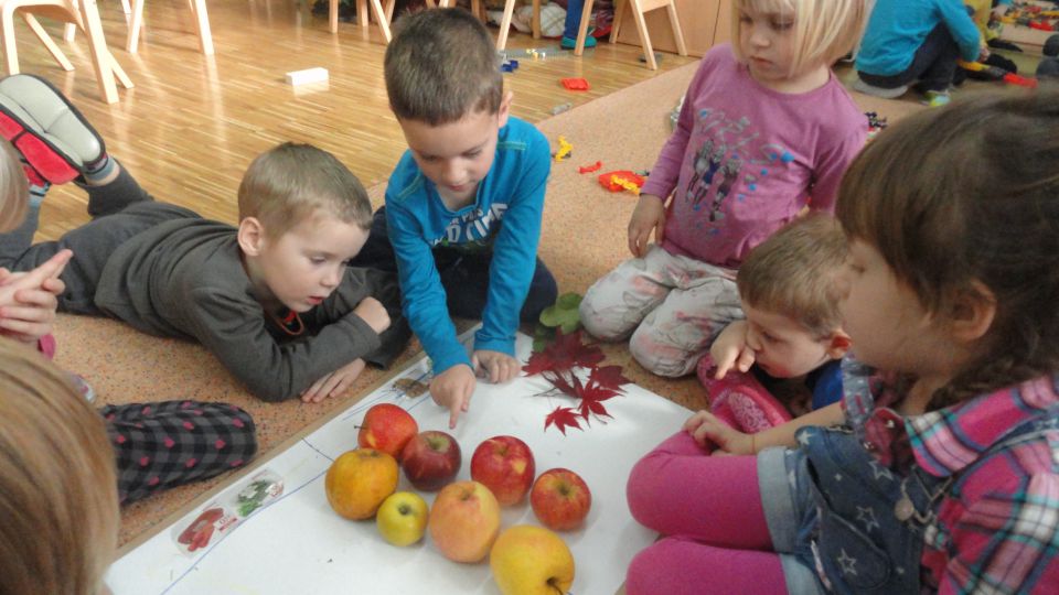 Zelena igralnica, november 2014 - foto povečava