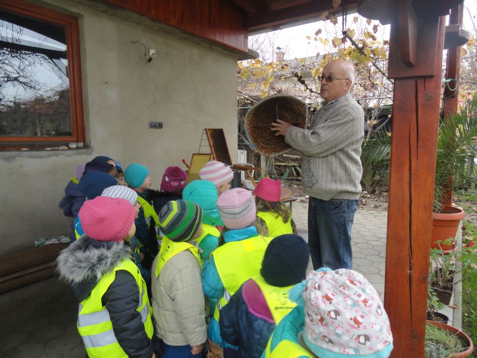 Zelena igralnica, november 2014 - foto povečava