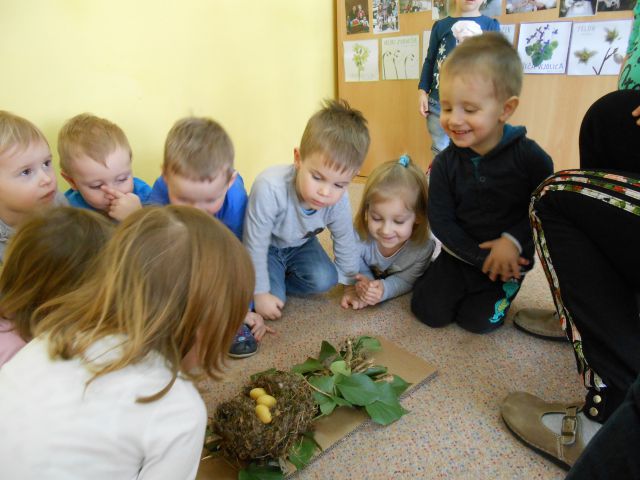 Vijolična igralnica, marec 2015 - foto