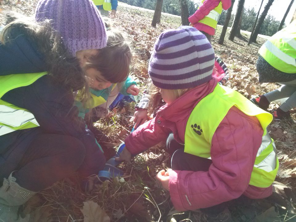 Zelena igralnica, marec 2015 - foto povečava