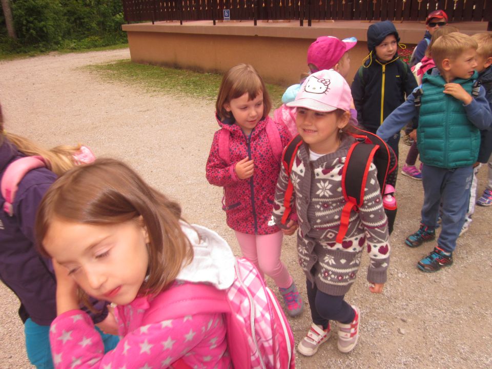 TABOR LOGARSKA DOLINA 2015 - foto povečava