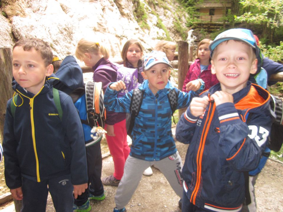 TABOR LOGARSKA DOLINA 2015 - foto povečava