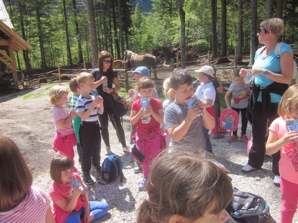 TABOR LOGARSKA DOLINA 2015 - foto povečava