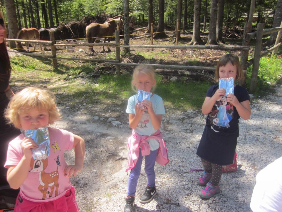 TABOR LOGARSKA DOLINA 2015 - foto povečava