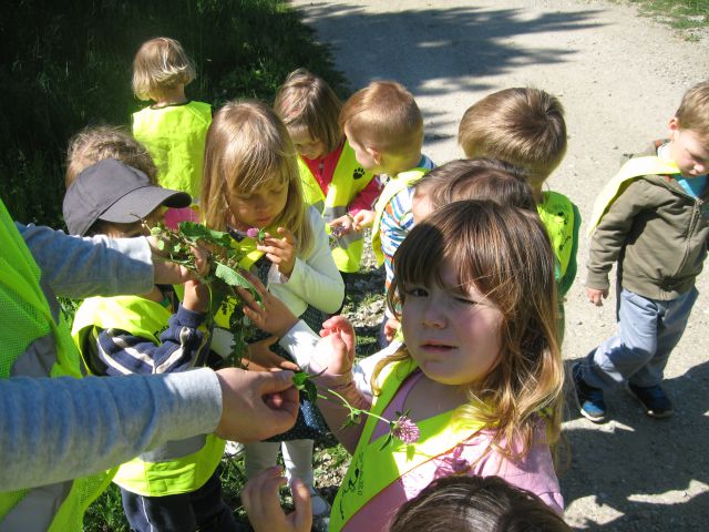 Modra igralnica, maj 2015 - foto