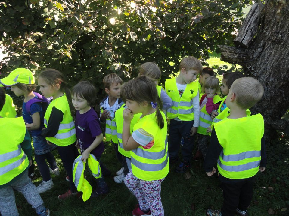 Rumena igralnica, oktober 2015 - foto povečava