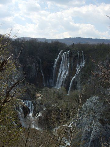 Rezika Predanič