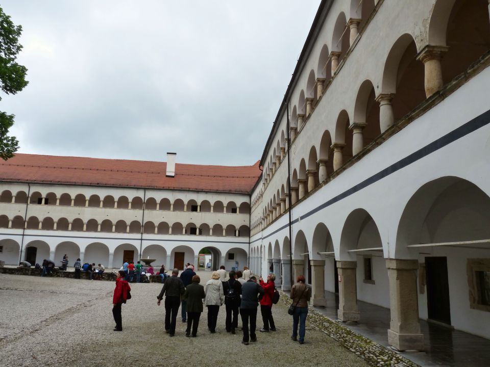 07.05.2013 Kostanjevica - foto povečava