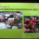 Irena Kurajič: Sedem razlogov za ekološki vrt