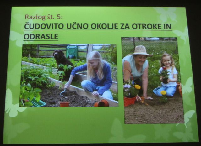 Irena Kurajič: Sedem razlogov za ekološki vrt