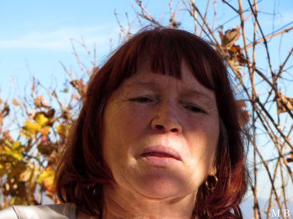 POHOD PO UMEKOVI POTI 11. NOVEMBER 2015.