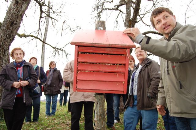 10. 11. 2015 Po Kozjanskem - brane - foto