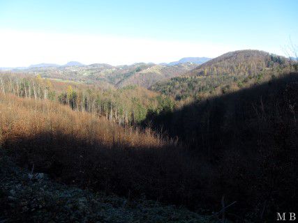 18. 11. 2015 - pohod - Gradišče