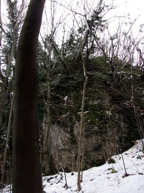 Planina-- ogled okolice