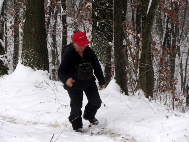 Pohod na Zajčjo Goro