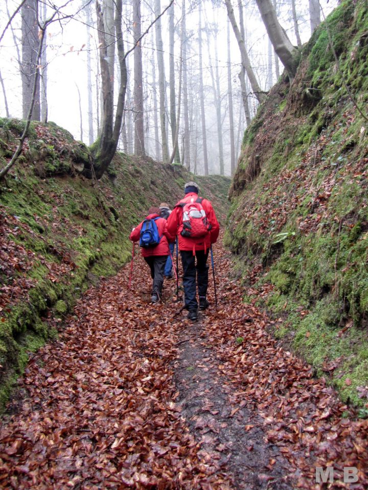 Žigrski vrh čez Cesarjevo dolino