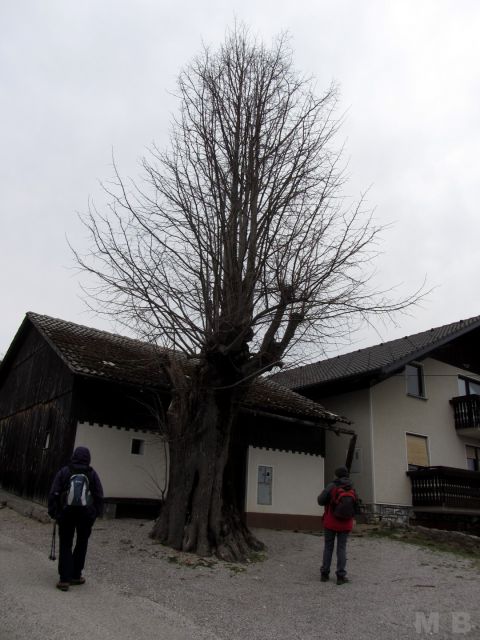 23. 3. pohod - Malkovec z okolico - foto