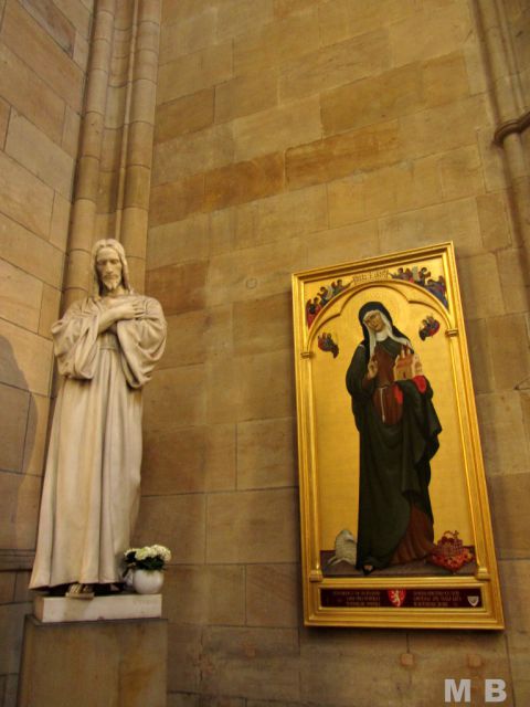 Katedrala sv. Vida