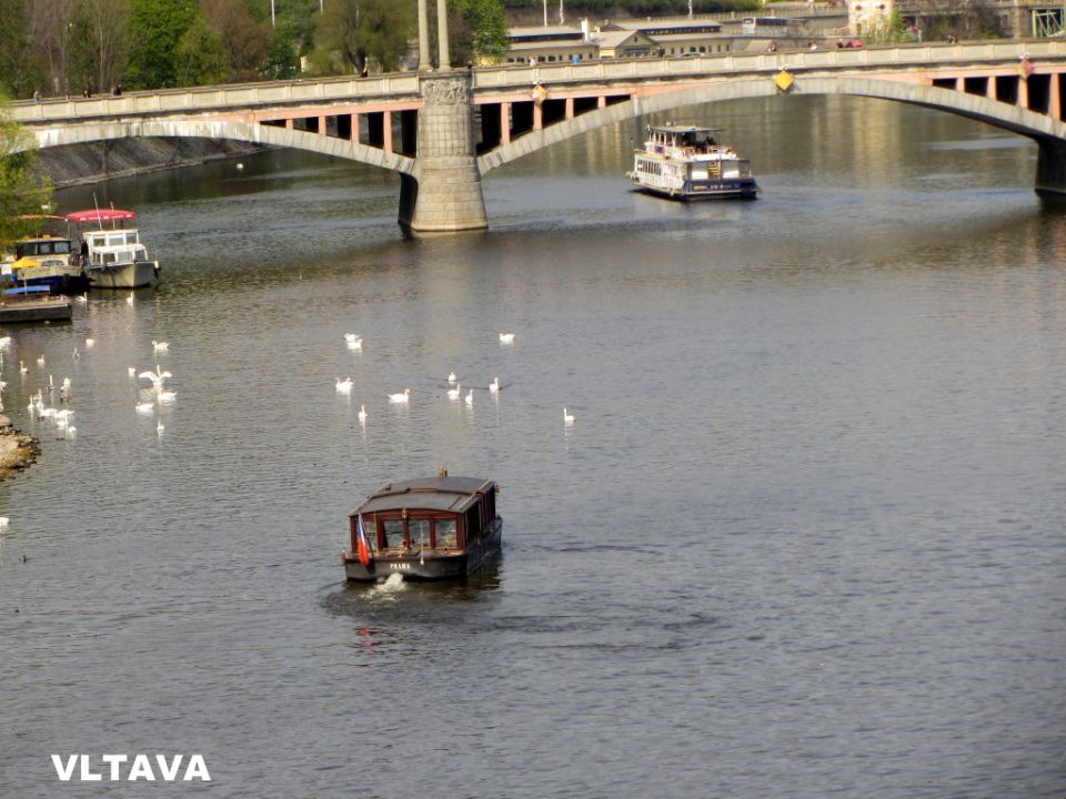 karlov most