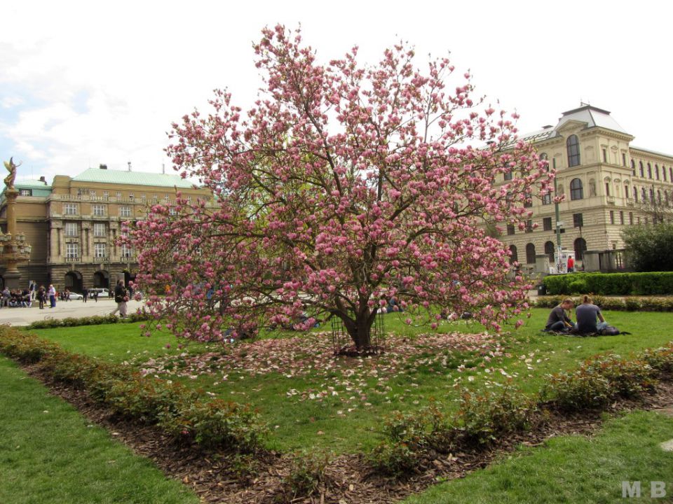  12. 13. 4. - praga - pristanišče - foto povečava