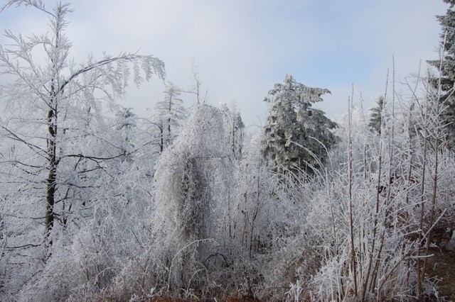 14. 2. 17 ljubljanski vrh, pivka, prestranek - foto