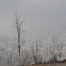 14. 2. 17 ljubljanski vrh, pivka, prestranek1