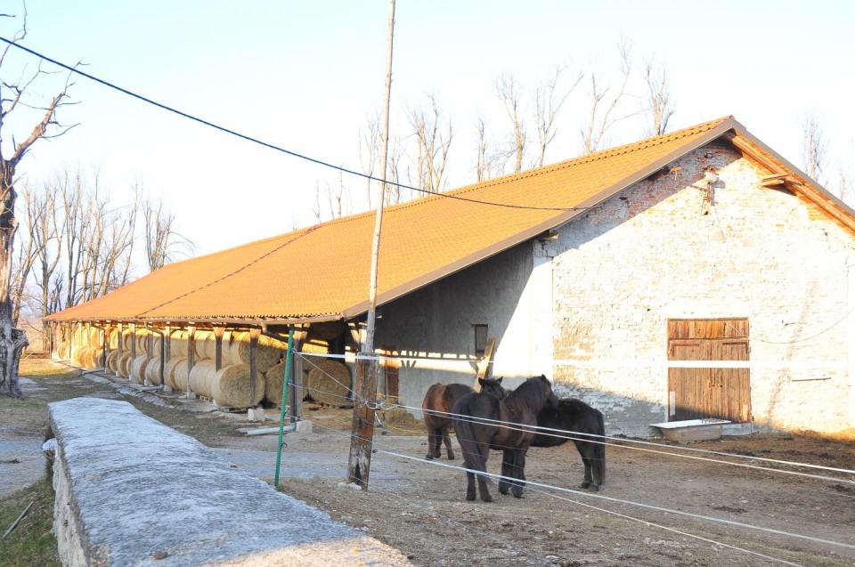 14. 2. 17 ljubljanski vrh, pivka, prestranek1 - foto povečava