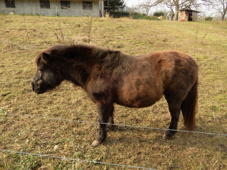 27. 11. 2019 - foto povečava