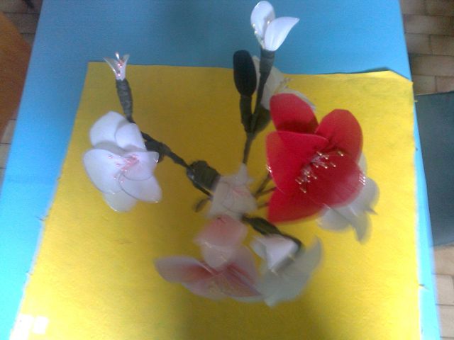 Cvetje iz nogavic - foto