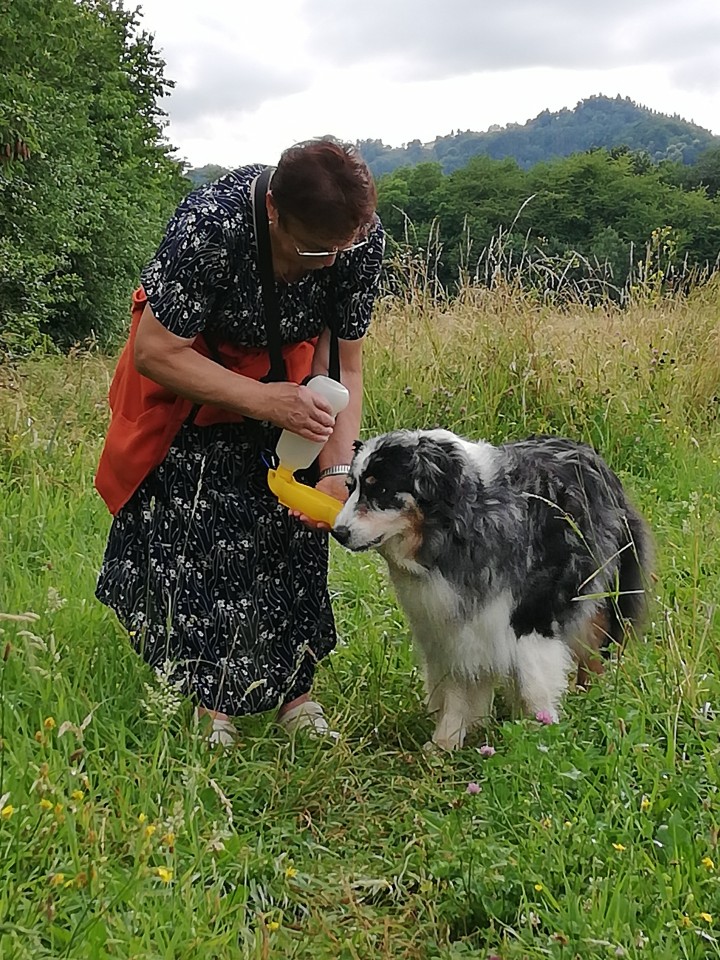 Ruffus - foto povečava