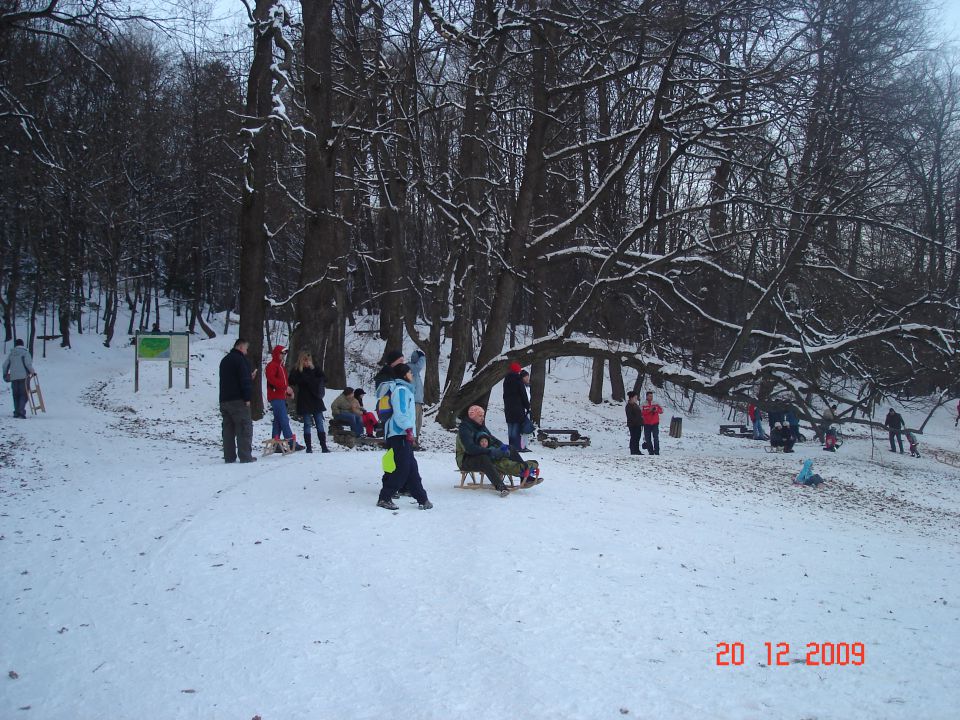 Na Rožnik 20. 12 2007 - foto povečava