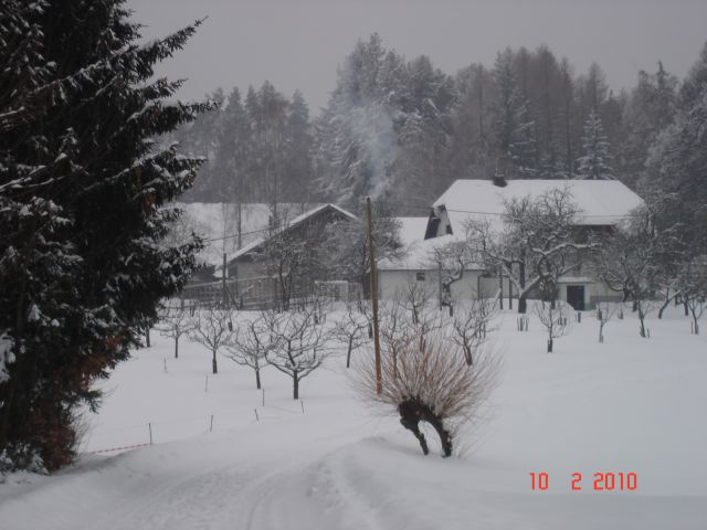 Na kozjak - k jerici 11. 2. 2010 - foto