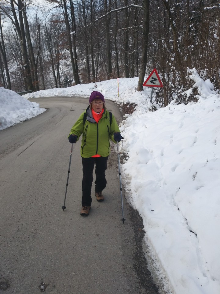 KATARINA - TOPOL  JANUAR 2019 - foto povečava