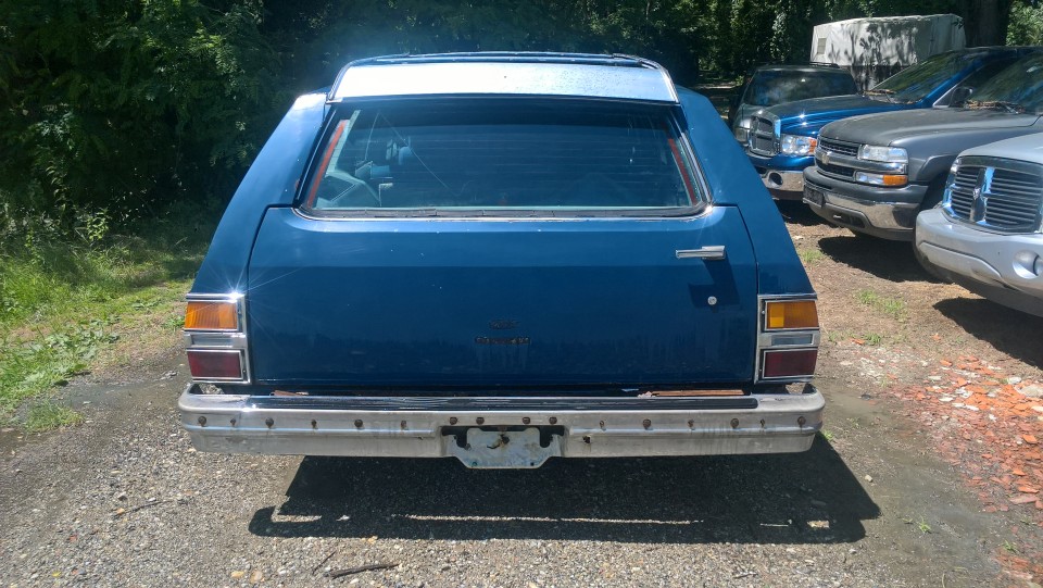 1979 Chevrolet Caprice Station Wagon - foto povečava