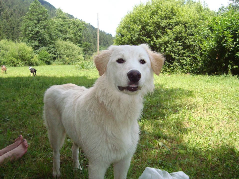 Gina in njeni prijatelji - foto povečava