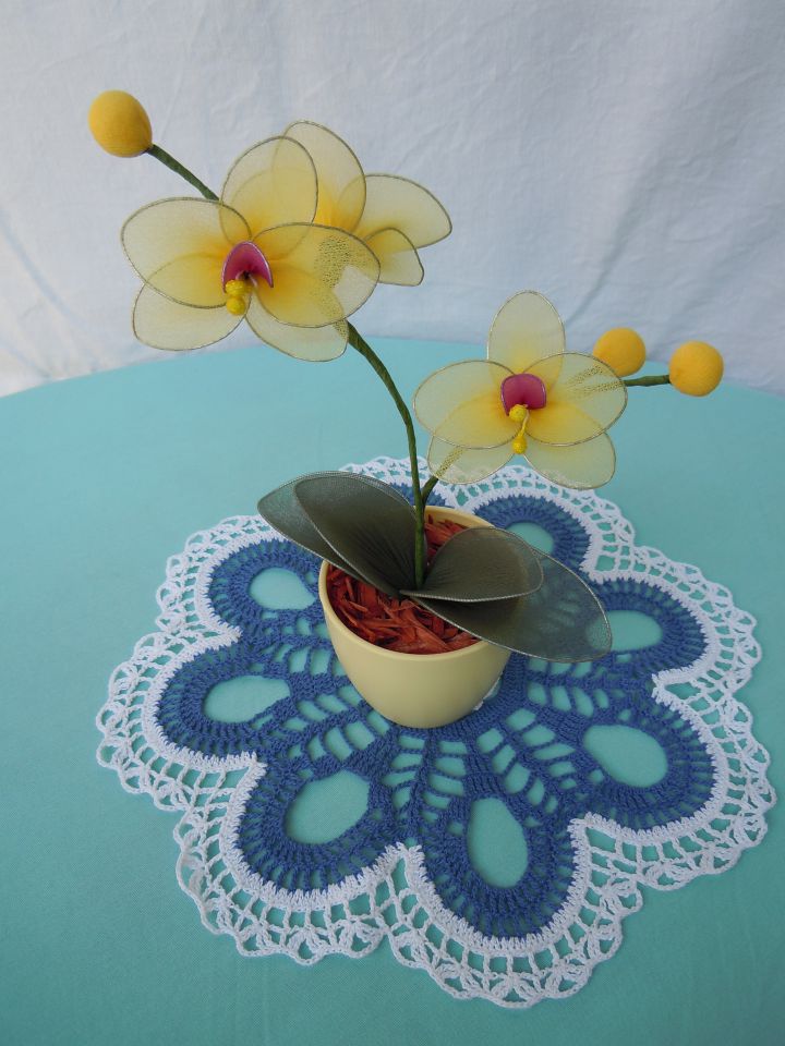 Orhideje  - foto povečava