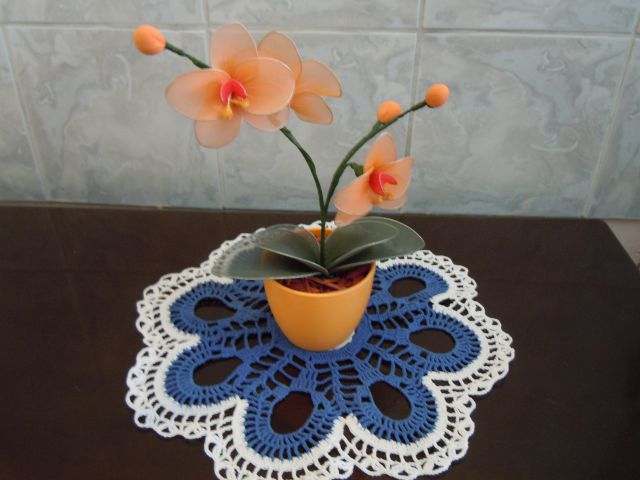 Orhideje  - foto