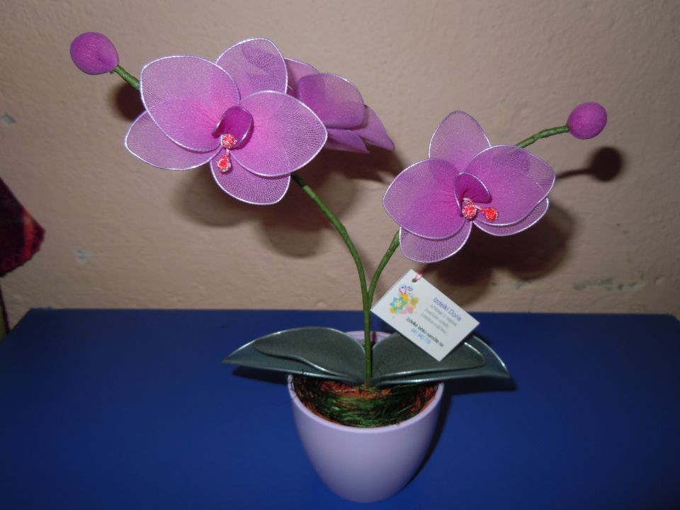 Orhideje 2 - foto povečava