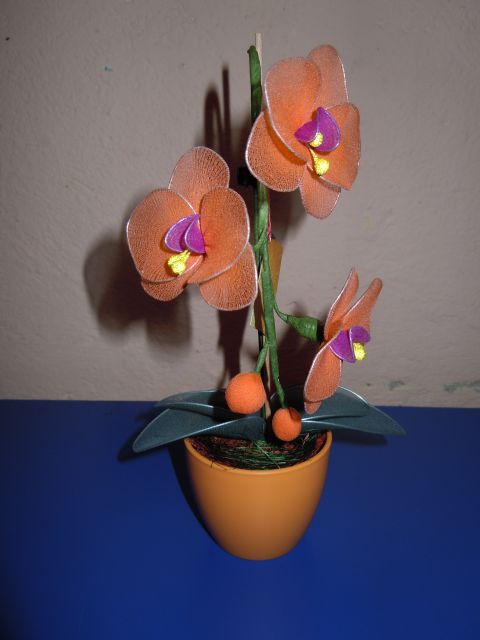 Orhideje 2 - foto