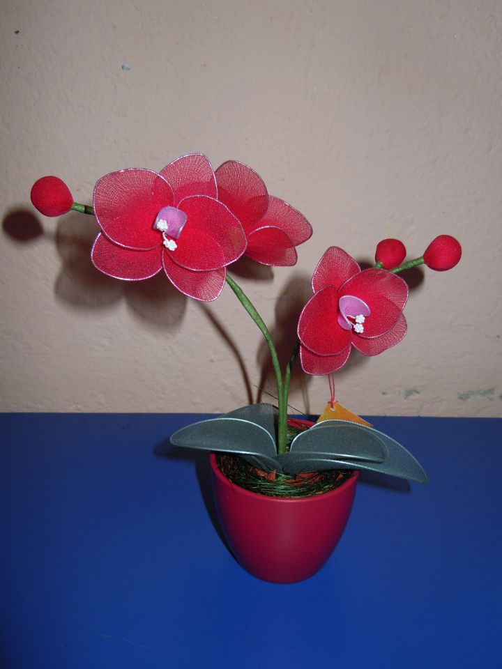 Orhideje 2 - foto povečava
