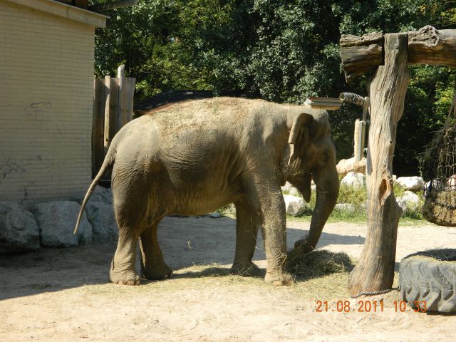 Zoo Ljubljana - foto