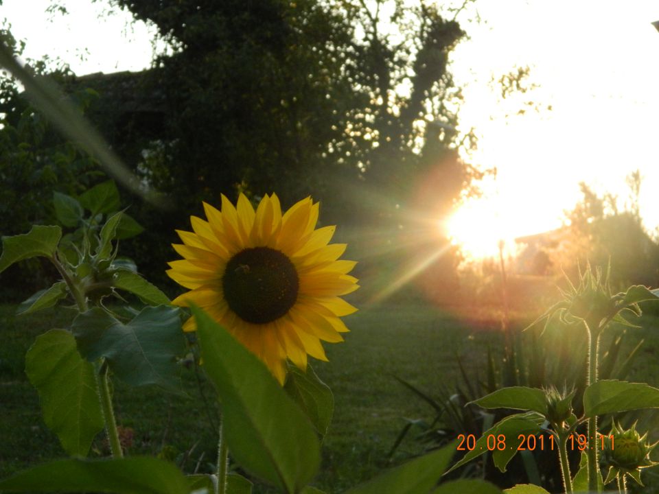 Ma use kr hočš - foto povečava